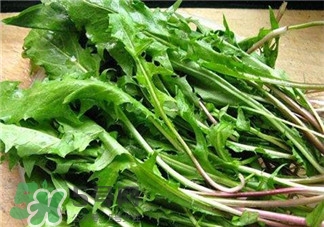 薺薺菜的營(yíng)養(yǎng)價(jià)值 薺薺菜的藥用價(jià)值 薺薺菜的營(yíng)養(yǎng)價(jià)值 薺薺菜的藥用價(jià)值