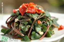 螞蚱菜孕婦可以吃嗎？螞蚱菜的功效與作用