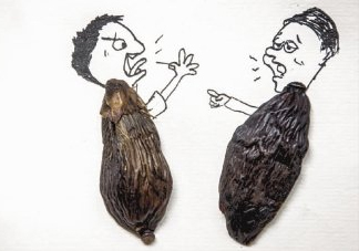 口味王檳榔是什么東西？口味王檳榔怎么吃