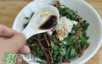 螞蚱菜怎么炒好吃？螞蚱菜做法有哪幾種