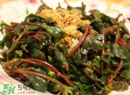 螞蚱菜怎么炒好吃？螞蚱菜做法有哪幾種