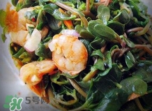 螞蚱菜怎么炒好吃？螞蚱菜做法有哪幾種