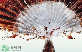 運動后可以喝可樂嗎？運動后喝可樂會胖嗎？