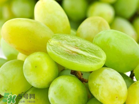 青提怎么保存？青提可以放冰箱嗎？