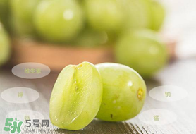 青提怎么保存？青提可以放冰箱嗎？