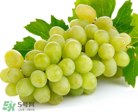 青提太酸怎么辦？青提怎么放才甜 ？