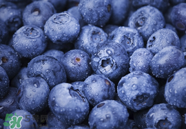 藍(lán)莓什么味道？藍(lán)莓味道是什么樣的？