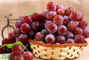 紅提多少錢一斤？紅提子多少錢一斤？