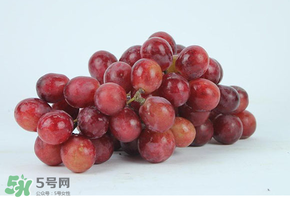 紅提多少錢一斤？紅提子多少錢一斤？