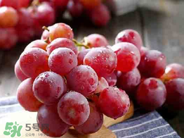 紅提可以放冰箱嗎？紅提放冷庫怎么保存？