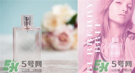 巴寶莉香水粉紅戀歌怎么樣?巴寶莉粉紅戀歌香水介紹 巴寶莉香水粉紅戀歌怎么樣?巴寶莉粉紅戀歌香水介紹