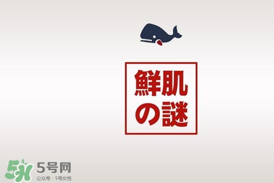 鮮肌之迷是日本的嗎？鮮肌之迷好用嗎