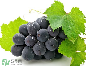 巨峰葡萄幾月份成熟？巨峰葡萄什么時候成熟？