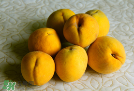 黃桃一天可以吃幾個？黃桃能多吃嗎？