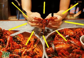 七月份還有小龍蝦嗎？七月份可以養(yǎng)小龍蝦嗎？