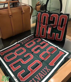 delvaux1829包包尺寸多大？delvaux1829果凍包尺寸介紹