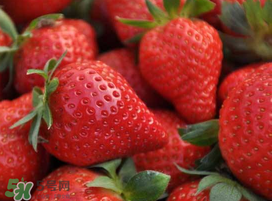 七月份有草莓嗎？7月份有草莓嗎？