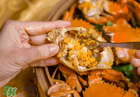 七月份有螃蟹嗎？七月份螃蟹吃公還是吃母？