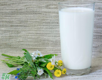 脫脂奶粉哪個牌子好？脫脂奶粉什么品牌的好？