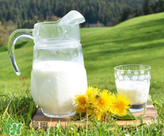 脫脂奶粉什么時候喝最好？脫脂奶粉什么時候喝？