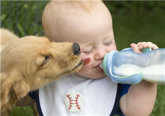 奶粉哪個國家的最好？奶粉哪個國家的奶源好？