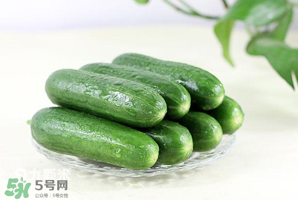 水果黃瓜常溫能放多久？水果黃瓜怎么保存？