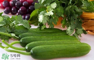 水果黃瓜是轉(zhuǎn)基因嗎？水果黃瓜的功效和作用