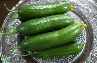 水果黃瓜是轉(zhuǎn)基因嗎？水果黃瓜的功效和作用