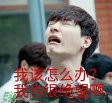 Juvia's Place眼影怎么樣？Juvia's Place眼影畫法