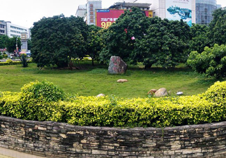 掛綠荔枝為什么這么出名？掛綠荔枝的由來和傳說