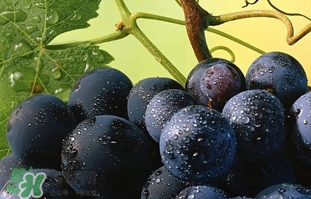 無籽葡萄是打避孕藥的嗎？無籽葡萄對人體有害嗎？