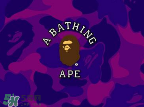 a bathing ape新款鯊魚短褲多少錢？bape鯊魚短褲專柜價格