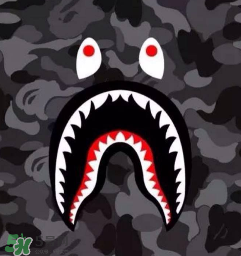 a bathing ape新款鯊魚短褲多少錢？bape鯊魚短褲專柜價格