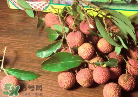 增城掛綠荔枝最貴多少錢？掛綠荔枝和普通荔枝有什么區(qū)別