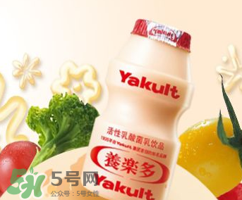 養(yǎng)樂多能自制嗎？自制養(yǎng)樂多的方法