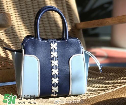 tod's與包先生聯(lián)名合作款折耳包包尺寸多大？