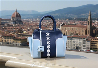 tod's與包先生聯(lián)名合作款折耳包包尺寸多大？