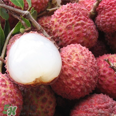 桂味荔枝為什么那么貴?桂味荔枝是小核嗎? 桂味荔枝為什么那么貴?桂味荔枝是小核嗎?