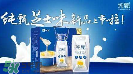純甄芝士酸奶好喝嗎？純甄芝士酸奶口感如何？