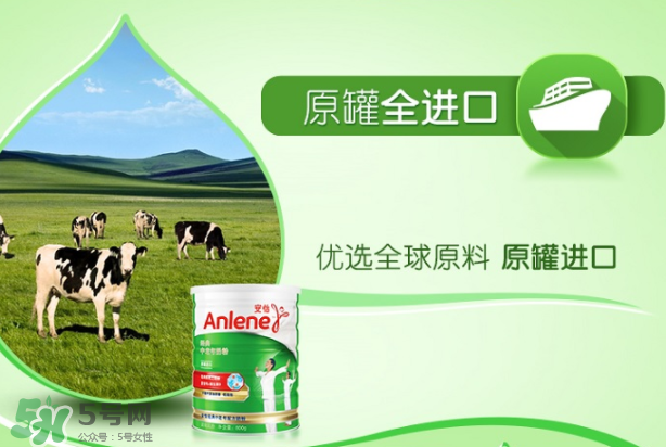 Anlene安怡奶粉怎么樣？Anlene安怡奶粉好不好？