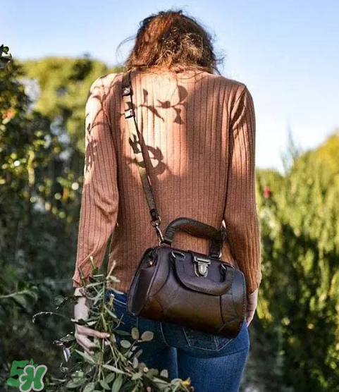 beara beara是什么牌子？beara beara的包怎么樣？