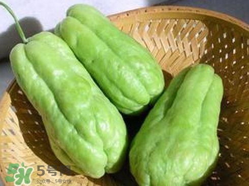 佛手瓜發(fā)芽了可以吃嗎？佛手瓜怎么吃？