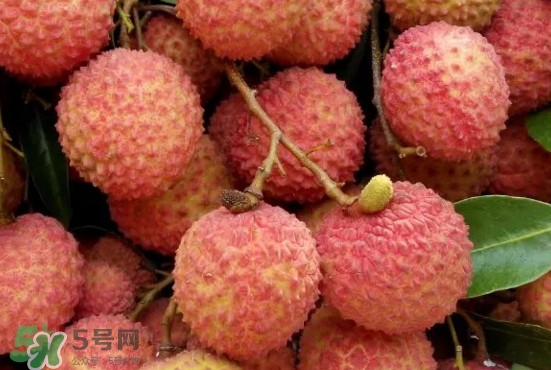 掛綠荔枝什么時候上市？掛綠荔枝什么時候成熟