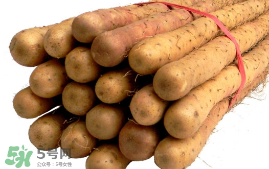 淮山藥是鐵棍山藥嗎？淮山藥和鐵棍山藥的區(qū)別