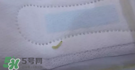 高潔絲衛(wèi)生巾有蟲嗎？高潔絲衛(wèi)生巾有熒光劑