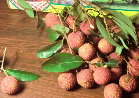 增城荔枝什么時(shí)候成熟？增城的荔枝品種有哪些？