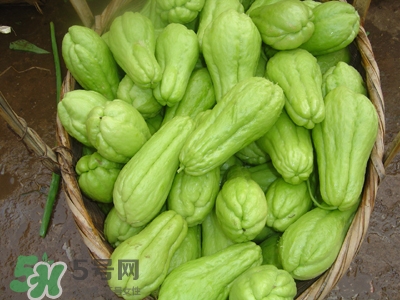 佛手瓜是涼性還是熱性？佛手瓜是什么樣子？