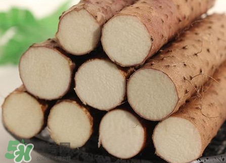 淮山藥是鐵棍山藥嗎？淮山藥和鐵棍山藥的區(qū)別