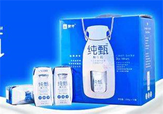 純甄酸奶過期還能喝嗎？純甄酸奶過期一點(diǎn)點(diǎn)要緊嗎？