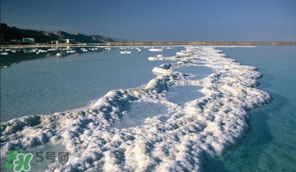 geomar磨砂膏哪款好用？geomar吉爾瑪磨砂膏怎么買